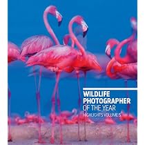 Wildlife Photographer of the Year: Highlights Volume 6 (Volume 6